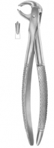  Fig. 73A lower molars 